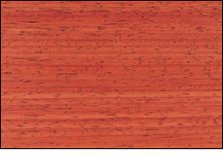 plancher-rouges-padouk